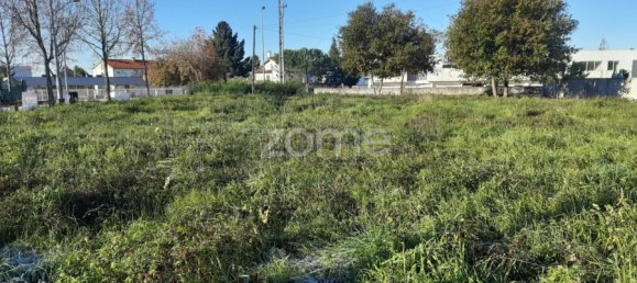  Land in Viseu, Portugal No. 45034 6