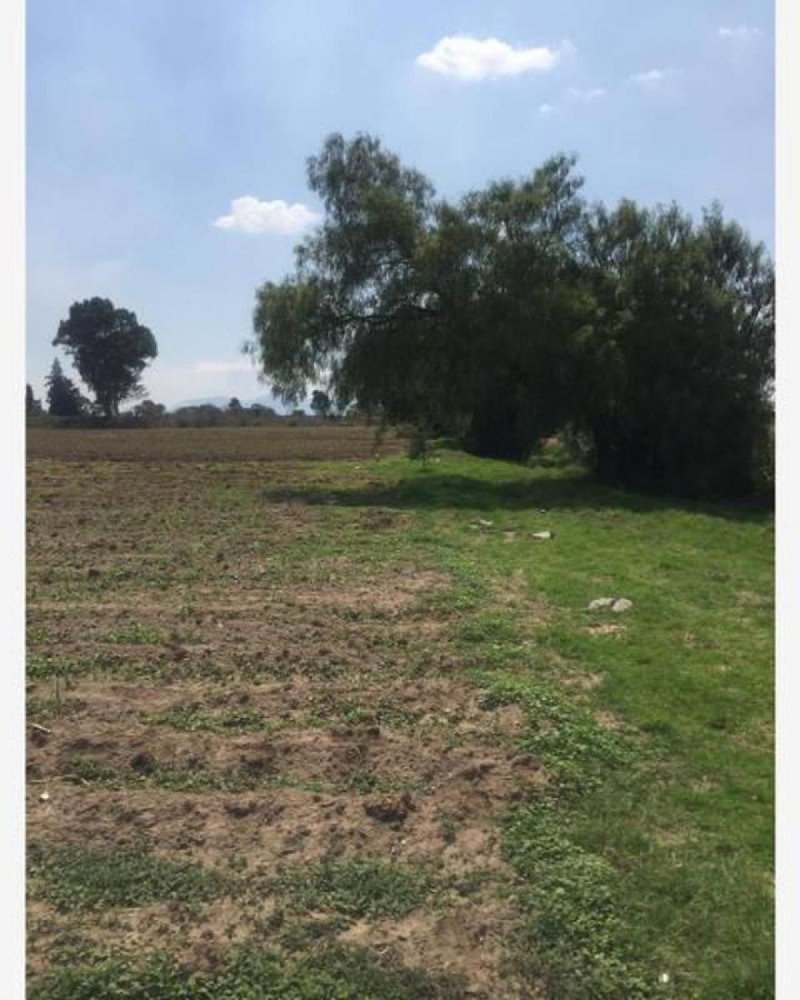 Grundstück in Texcoco de Mora, Mexico, Nr. 203404