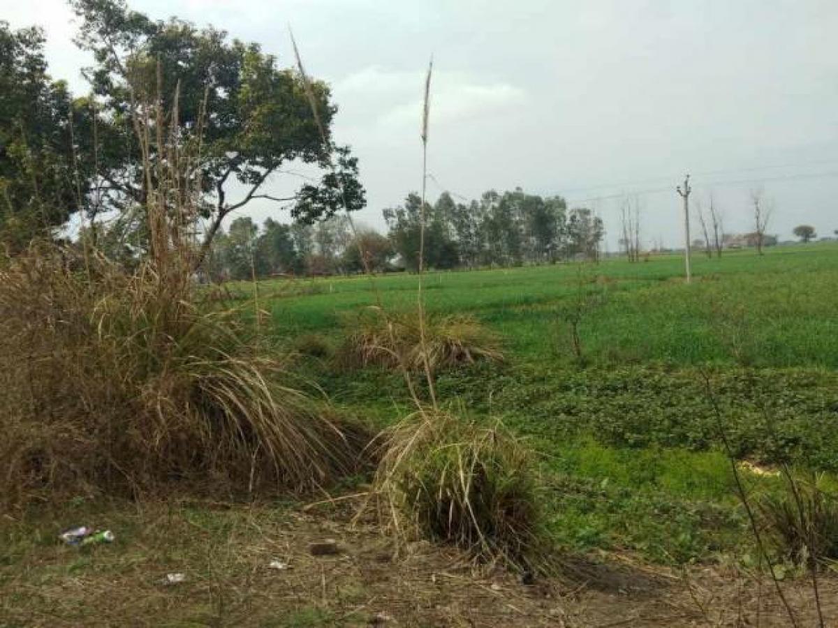  Land in Aligarh, India No. 34733