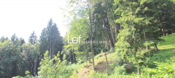 Villa de 8 habitaciónes en Valdobbiadene, Italy No. 175019 33