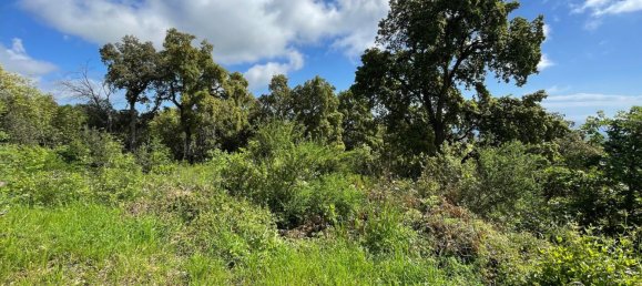 Земельный участок 5276м² в Сервьон, Франция № 363839 2