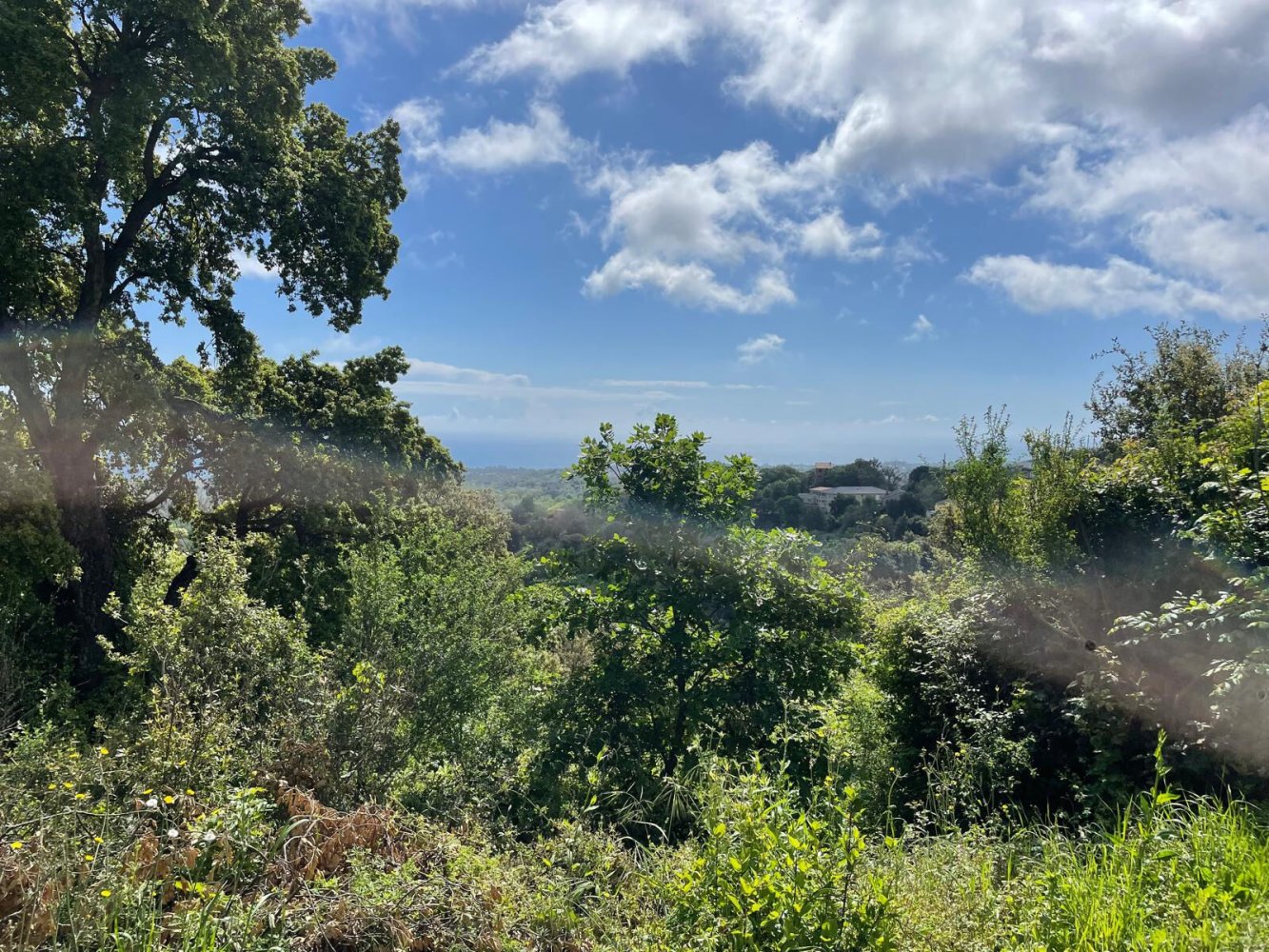 Земельный участок 5276м² в Сервьон, Франция № 363839