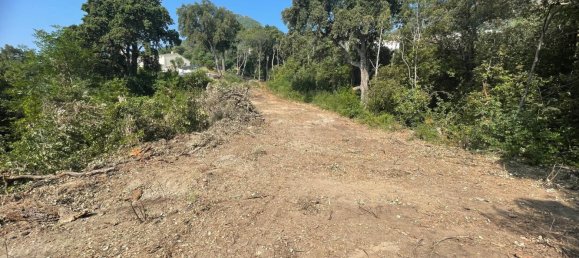 Земельный участок 5276м² в Сервьон, Франция № 363839 5