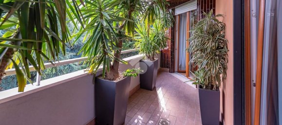 5 rooms Apartment in Arese, Italy No. 24861 13