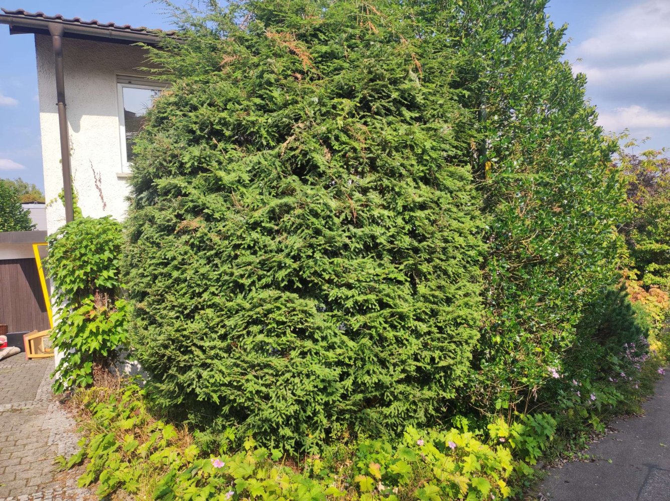 2 bedrooms House in Pforzheim, Germany No. 271583