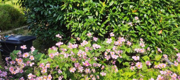 2 bedrooms House in Pforzheim, Germany No. 271583 11