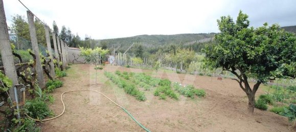 3 bedrooms House in Pedrogao Grande, Portugal No. 77353 36