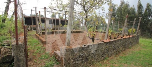 3 bedrooms House in Pedrogao Grande, Portugal No. 77353 44