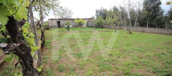 3 bedrooms House in Pedrogao Grande, Portugal No. 77353 39