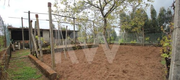 3 bedrooms House in Pedrogao Grande, Portugal No. 77353 50