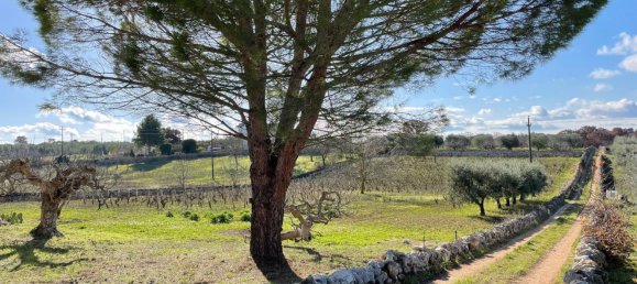 2غرفة منزل في Cisternino, Italy رقم 37409 9