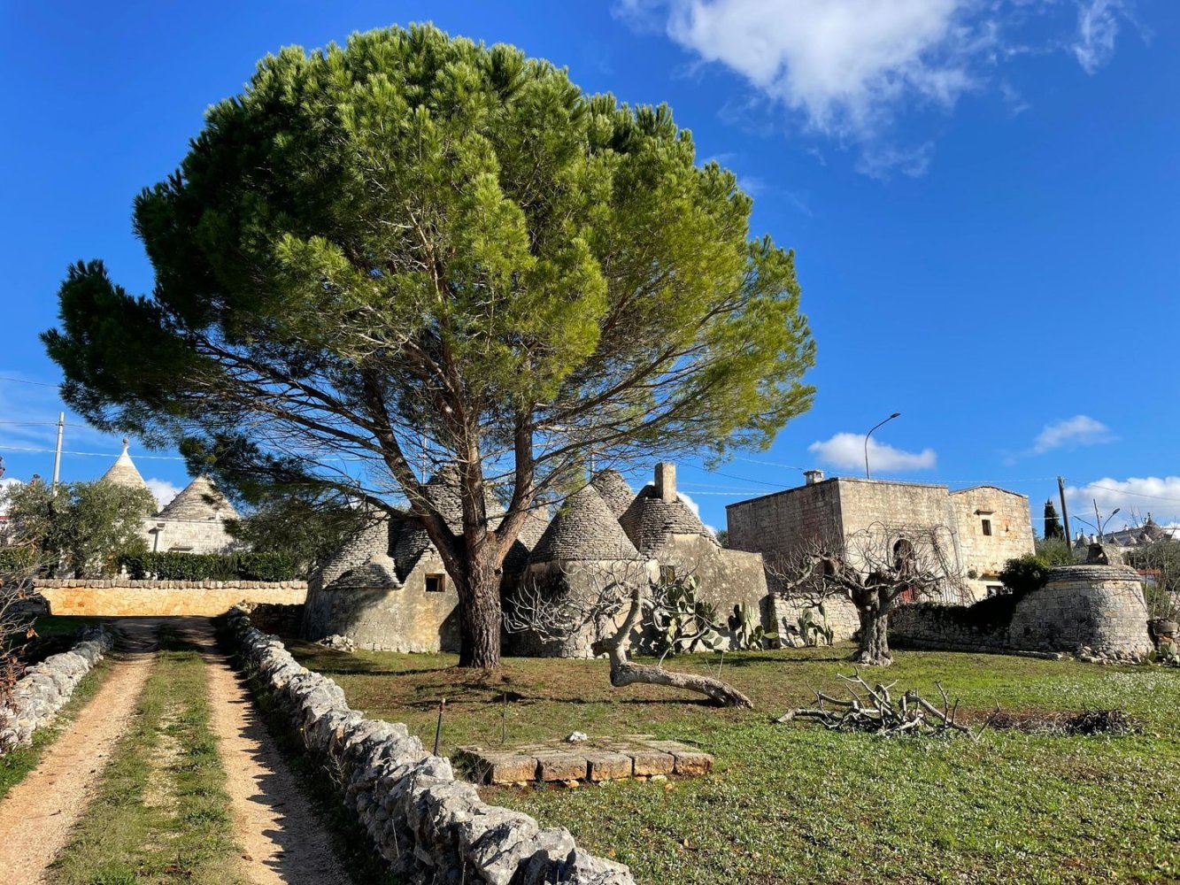 2غرفة منزل في Cisternino, Italy رقم 37409