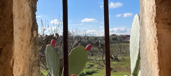 2غرفة منزل في Cisternino, Italy رقم 37409 8