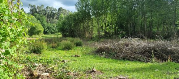 2 Schlafzimmer Haus in Fafe, Portugal, Nr. 180899 2