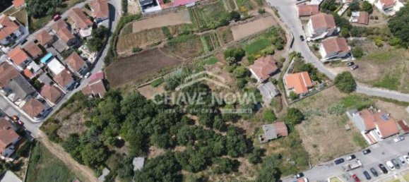 4 غرف نوم منزل في Fanzeres, Portugal رقم 52541 8