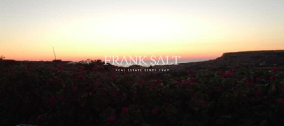 6 bedrooms House in Kercem, Malta No. 523 8