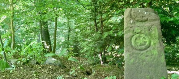 3 rooms Bungalow in Saxony, Germany No. 312259 28