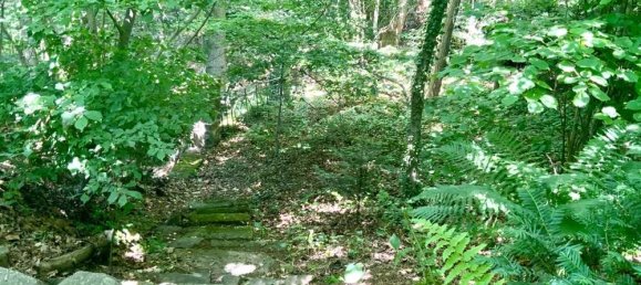 3 rooms Bungalow in Saxony, Germany No. 312259 12