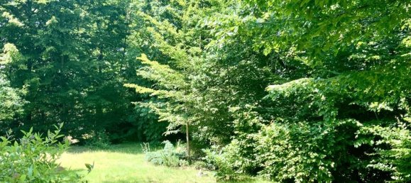 3 rooms Bungalow in Saxony, Germany No. 312259 10