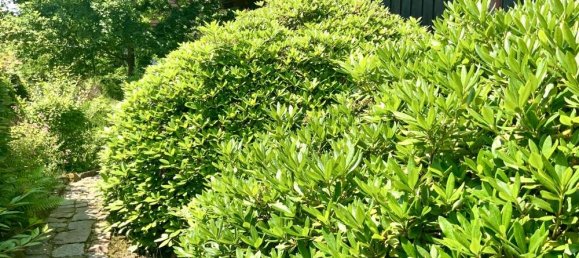 3 rooms Bungalow in Saxony, Germany No. 312259 9