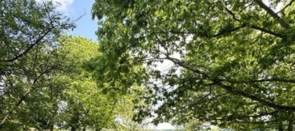 4 غرف نوم منزل في Nonvilliers-Grandhoux, France رقم 242292 13