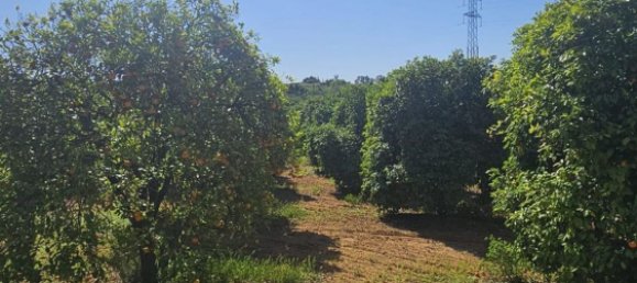 3 Schlafzimmer Haus in Andalusia, Spain, Nr. 158877 3