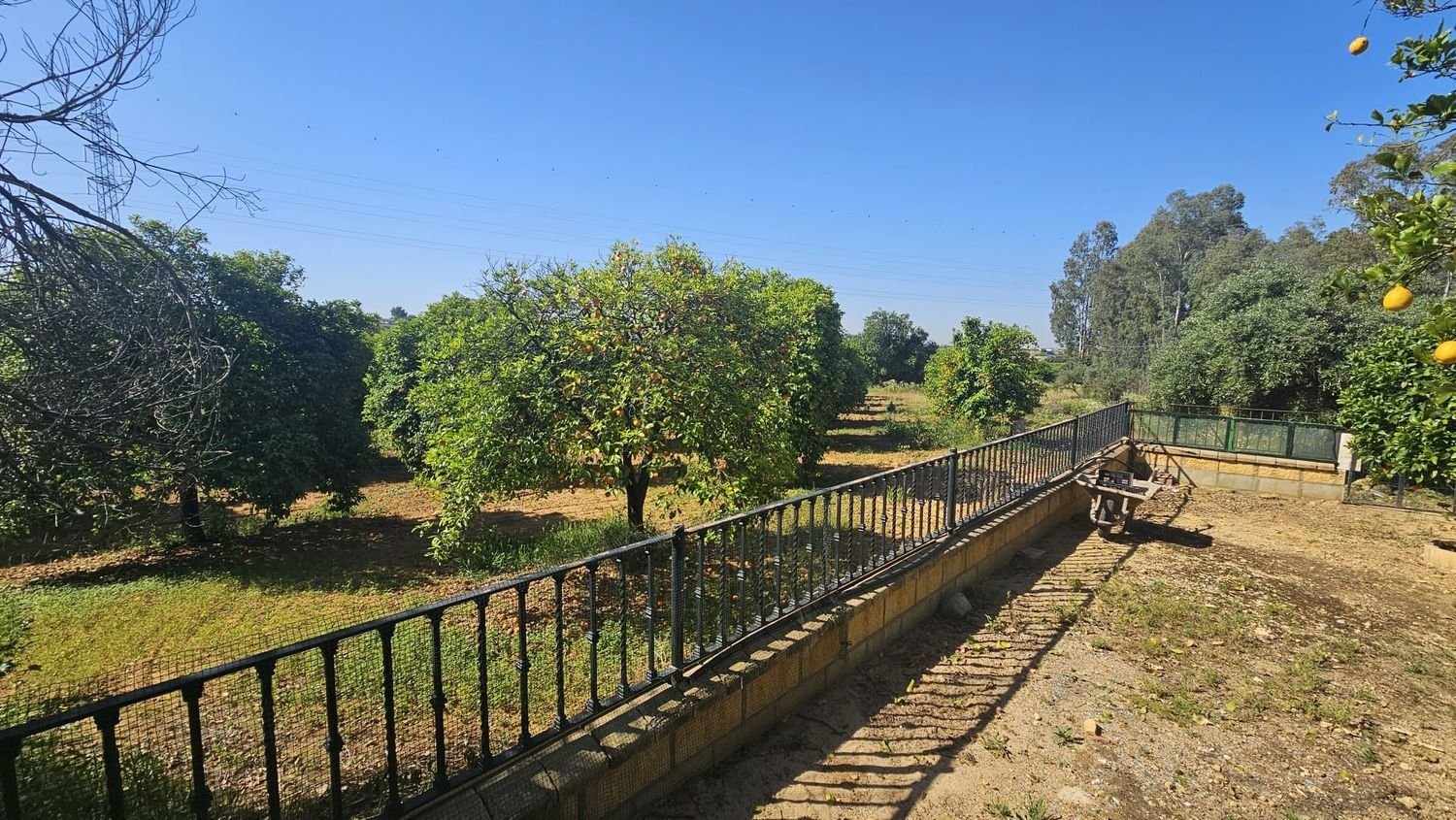 3 Schlafzimmer Haus in Andalusia, Spain, Nr. 158877