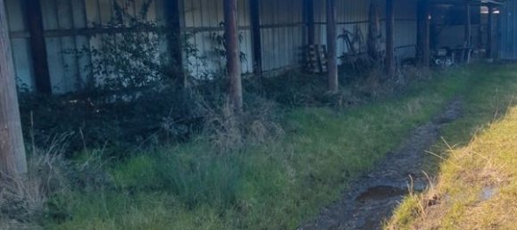 Estúdio em La Genetouze, France N.º 96070 4