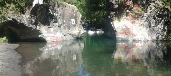 قطعة أرض في Biobio, Chile رقم 684 2