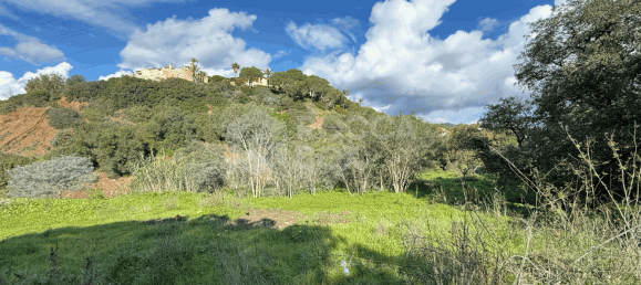  Land in Marbella, Spain No. 128594 5