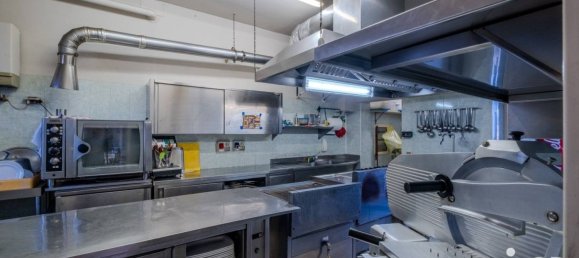 4-Zimmer Gewerbliche Immobilie in Bassano Bresciano, Italy, Nr. 360242 10