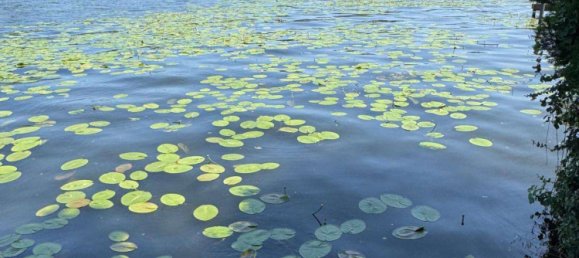 4غرفة منزل ذو طابقين في Kopenick, Germany رقم 229643 3