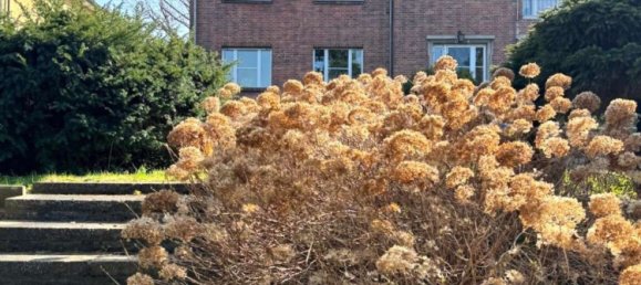 4غرفة منزل ذو طابقين في Kopenick, Germany رقم 229643 11