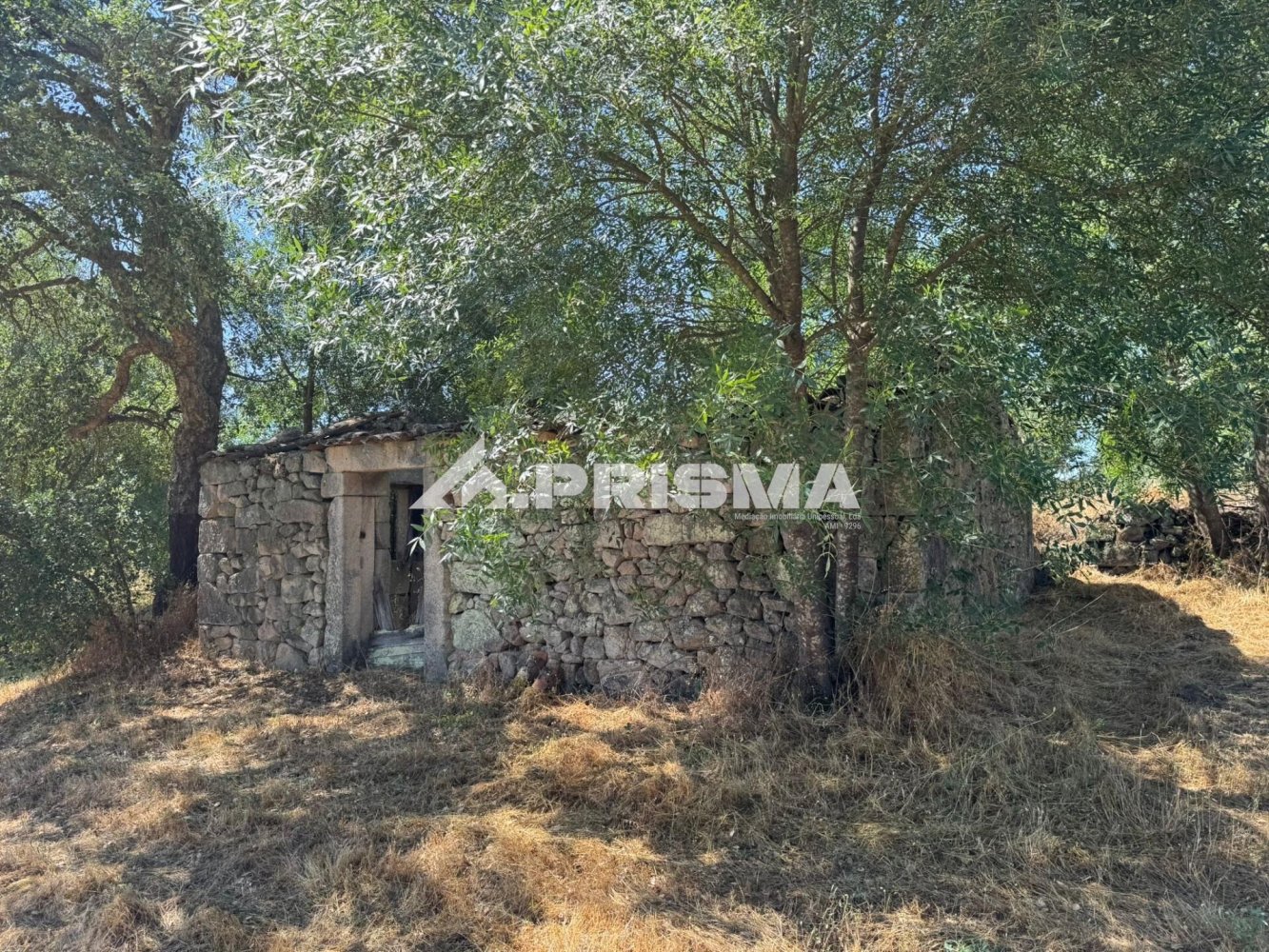  Land in Castelo Branco, Portugal No. 191818