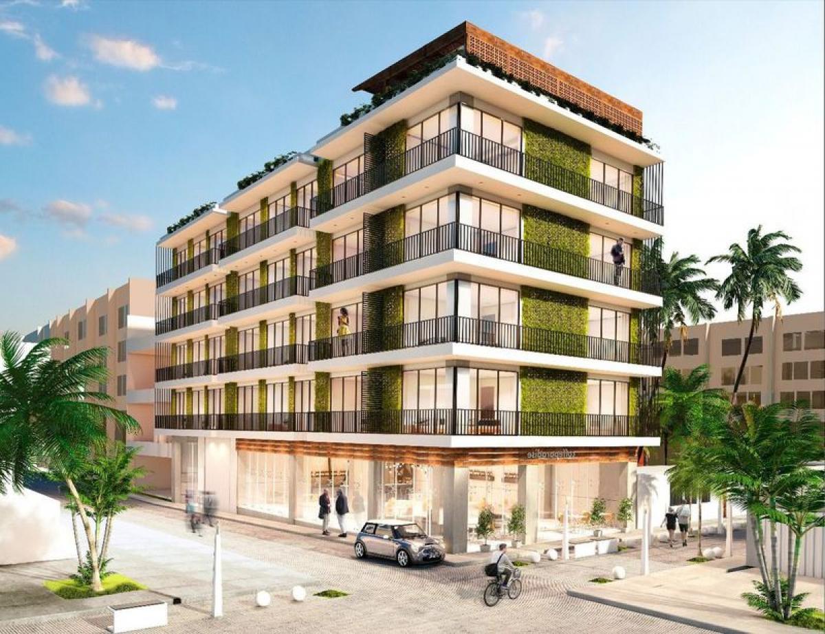 Estudio en Solidaridad, Mexico No. 164457