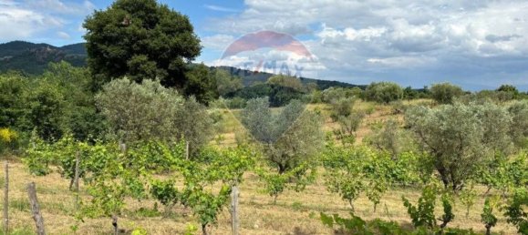 10 rooms House in Roccastrada, Italy No. 132669 22