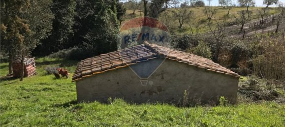 10 rooms House in Roccastrada, Italy No. 132669 18