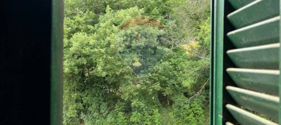 10 rooms House in Roccastrada, Italy No. 132669 7