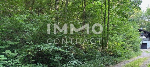  Land in Pressbaum, Austria No. 162712 2