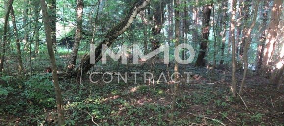  Land in Pressbaum, Austria No. 162712 5