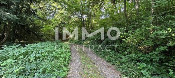  Land in Pressbaum, Austria No. 162712 6