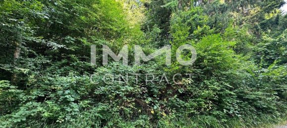  Land in Pressbaum, Austria No. 162712 3