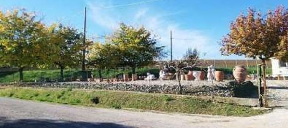 884m² Commercial property in Terre Roveresche, Italy No. 308108 6