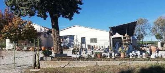 884m² Commercial property in Terre Roveresche, Italy No. 308108 5