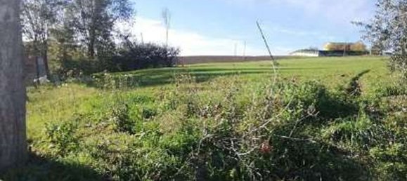 884m² Commercial property in Terre Roveresche, Italy No. 308108 9