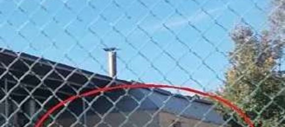 884m² Commercial property in Terre Roveresche, Italy No. 308108 3