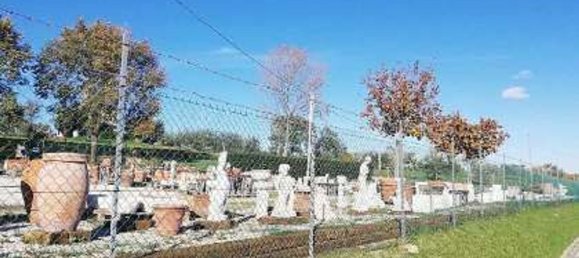 884m² Commercial property in Terre Roveresche, Italy No. 308108 13