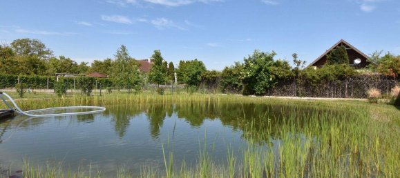 Квартира с 2 комнатами в Кремс ан дер Донау, Австрия № 210504 3