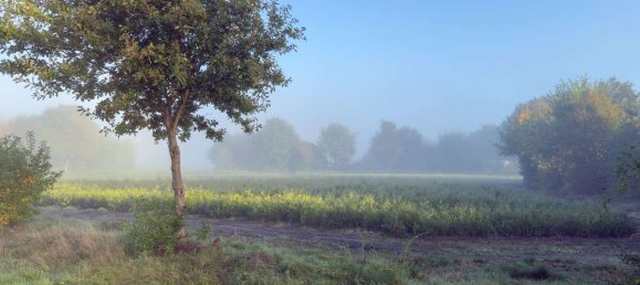 Terrain à Pinneberg, Germany No. 19390 20