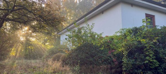 Terrain à Pinneberg, Germany No. 19390 6